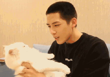 娱乐圈吃瓜爆料王安宇,娱乐圈幕后真相大曝光